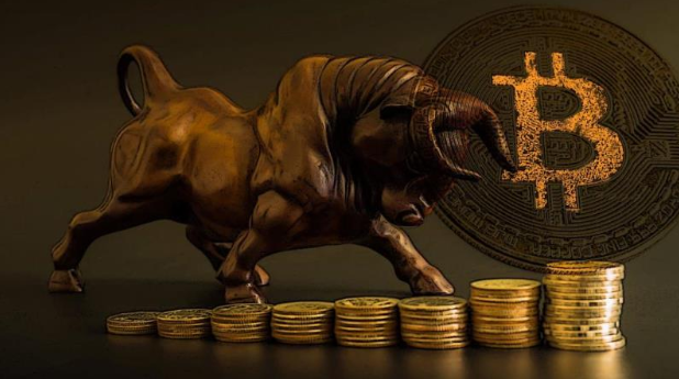 Bitcoin Bull (BTCBULL)