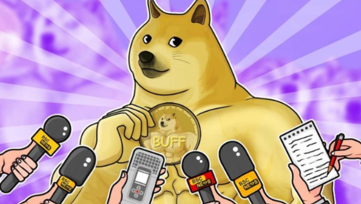 Main Reasons Why People Buy Meme Coins