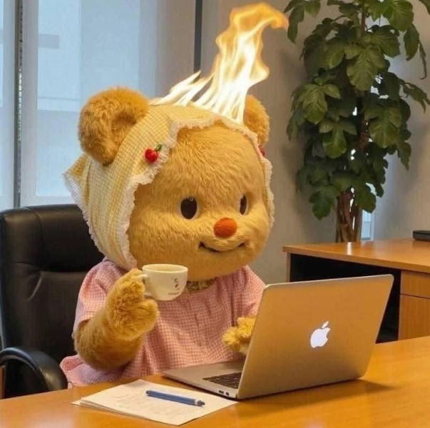 Risks of Getting in Early on Meme Coins Risks of Getting in Early on Meme Coins
