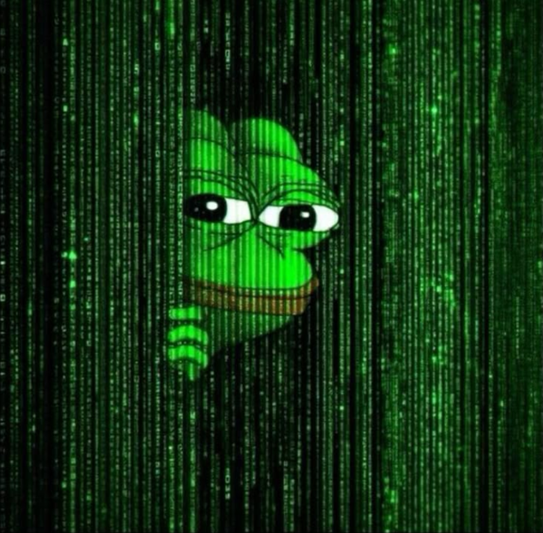 Spotting Legit Meme Coins vs. Scams Spotting Legit Meme Coins vs. Scams