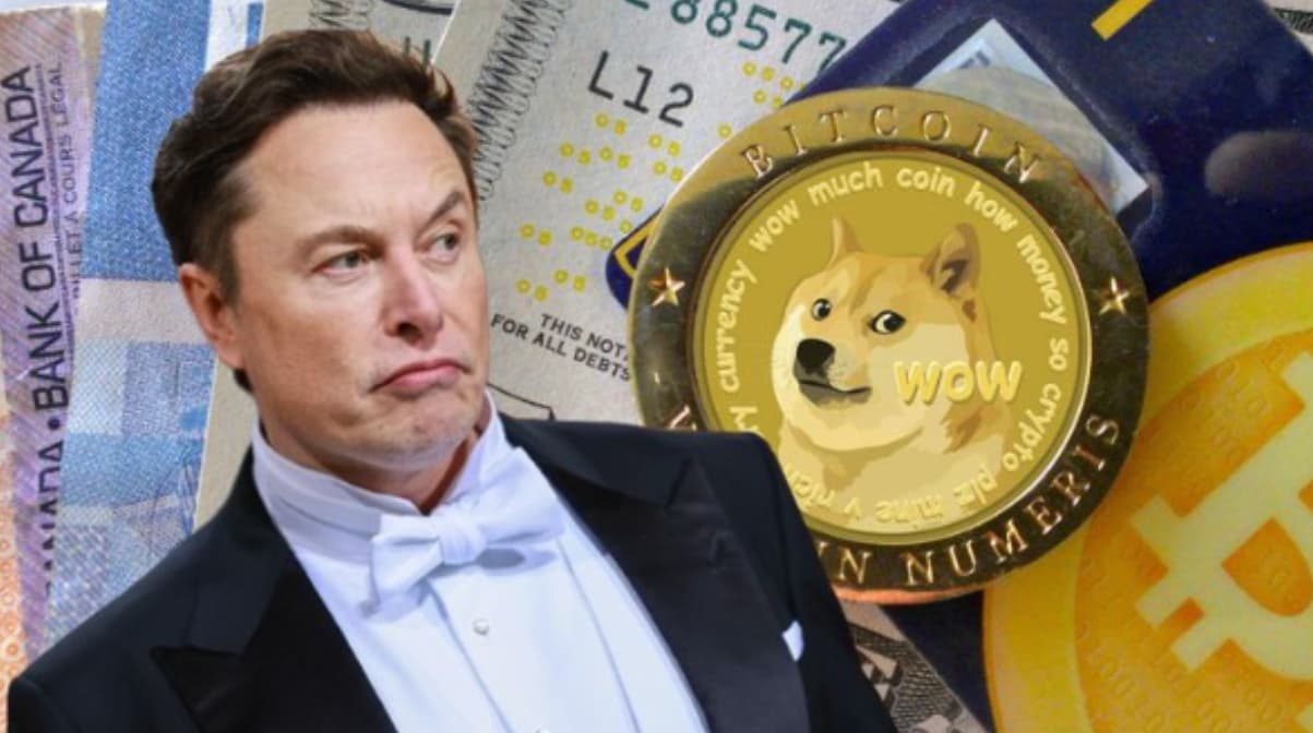 Supporting Reasons for Meme Coin Popularity