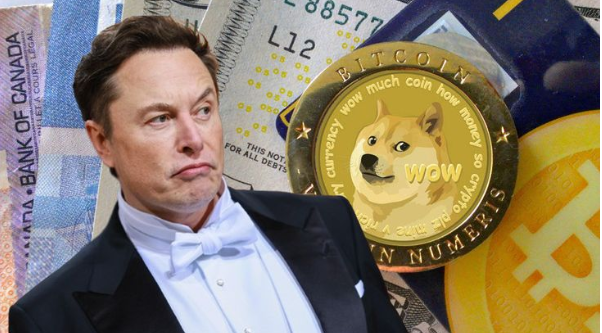 Supporting Reasons for Meme Coin Popularity