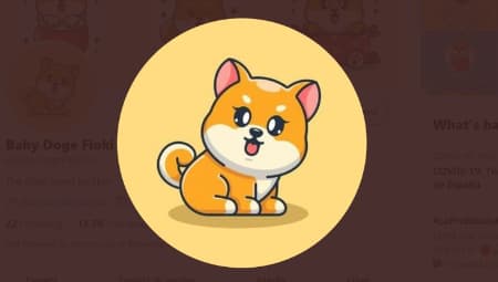 Baby Doge Coin 