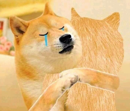 Dogecoin Crashes or Becomes Obsolete Dogecoin Crashes or Becomes Obsolete