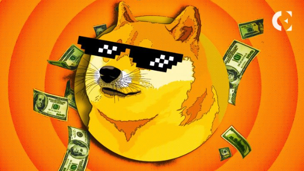 Dogecoin Investment Overview Dogecoin Investment Overview