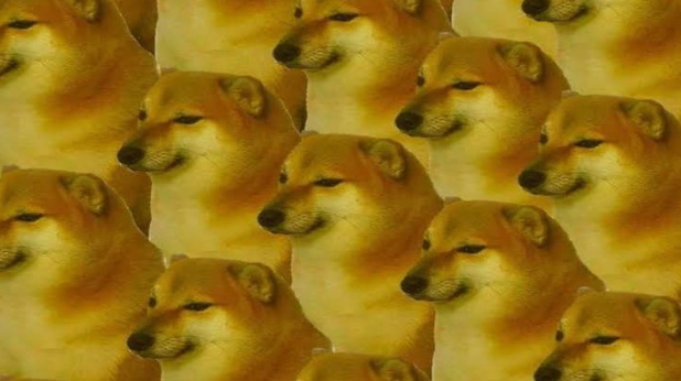 Dogecoin Volatility Dogecoin Volatility