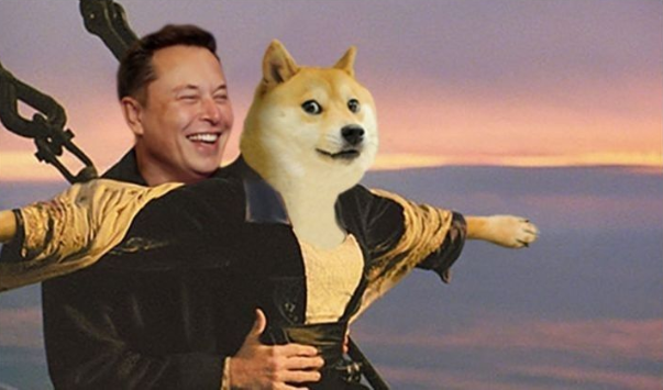 Dogecoin and Elon Musk Dogecoin and Elon Musk