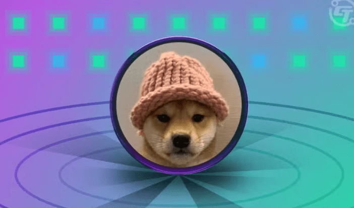 Dogwifhat (WIF) Dogwifhat (WIF)