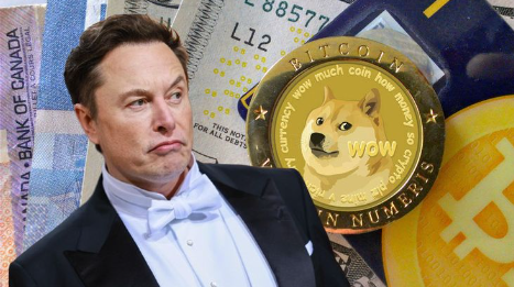 Elon Musk's Relationship With Dogecoin