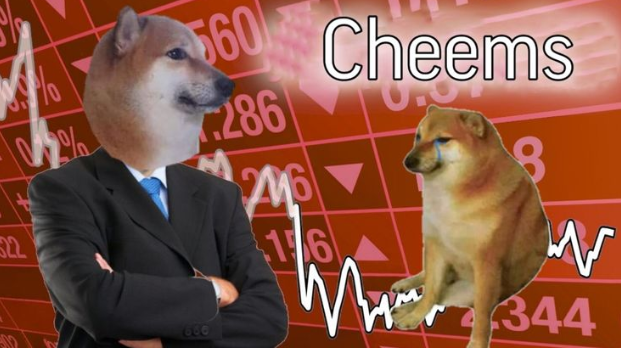 Risks of Investing in Dogecoin Risks of Investing in Dogecoin