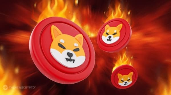 Shiba Inu 