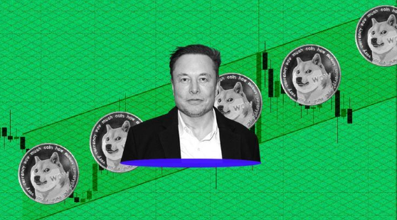 Tips To Invest in Dogecoin Tips To Invest in Dogecoin