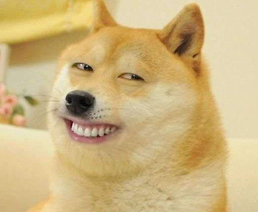 Will Dogecoin Reach $1 Will Dogecoin Reach $1